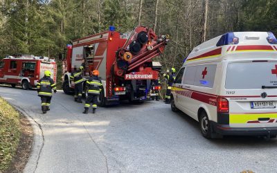 Menschenrettung nach Forstunfall in Unterwald