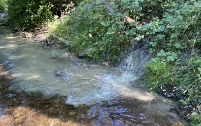 Verunreinigung im Ligistbach