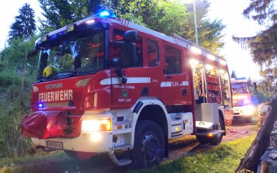 Kellerbrand – Hund weckt Besitzer und verhindert Schlimmeres