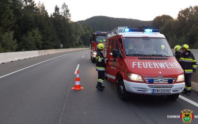 Verkehrsunfall auf der Südautobahn!