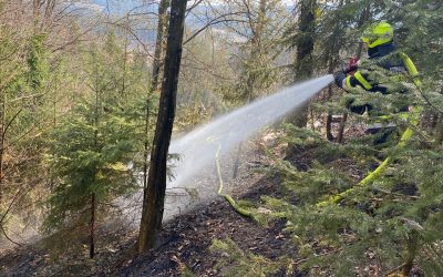 Waldbrand in Ligist