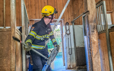 SRF Einsatz – Tierrettung in Mooskirchen