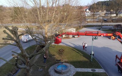 Baumpflege beim Rüsthaus Ligist