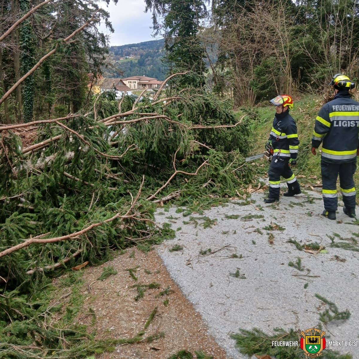 657758770_1380844424081239_8364693494553647399_n